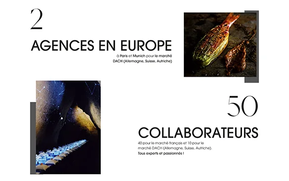 Refonte site internet : Agence Melchior